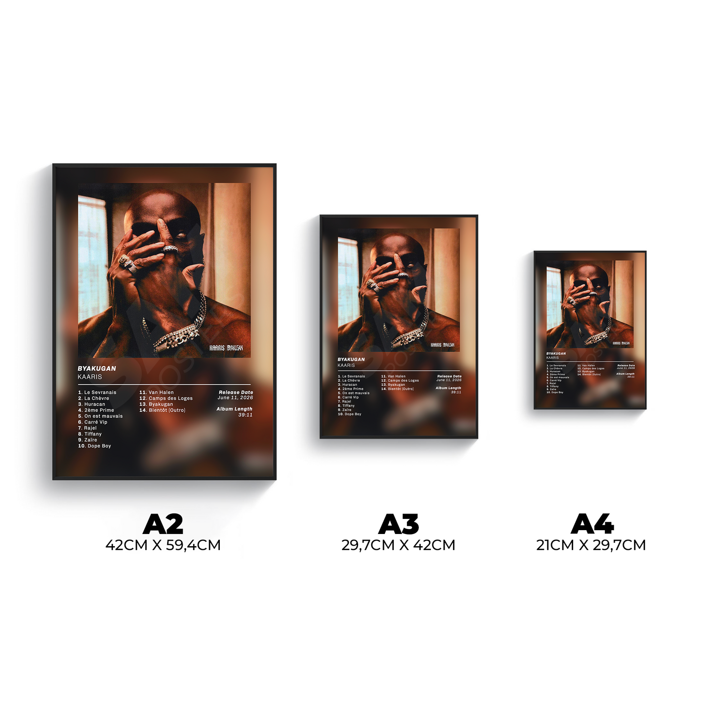 Byakugan Kaaris Poster