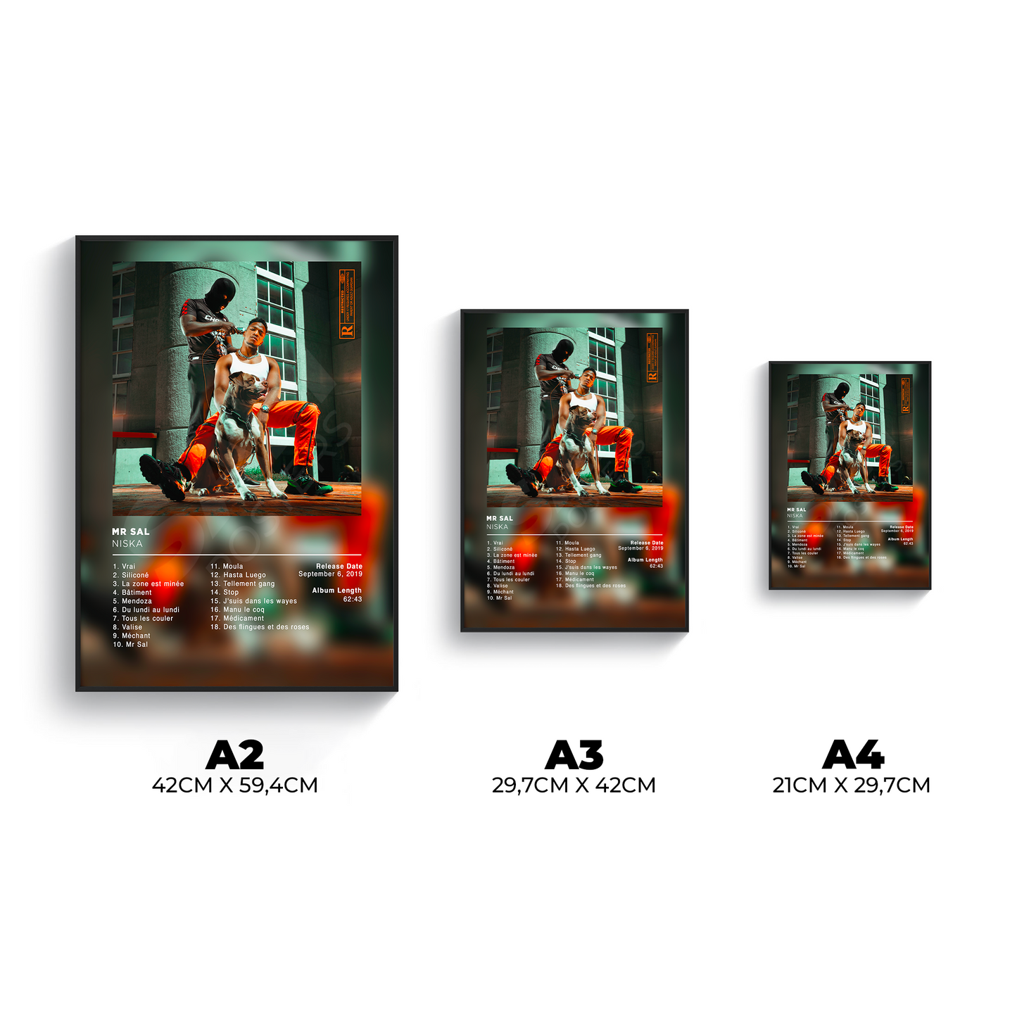 Mr. Sal Niska Poster