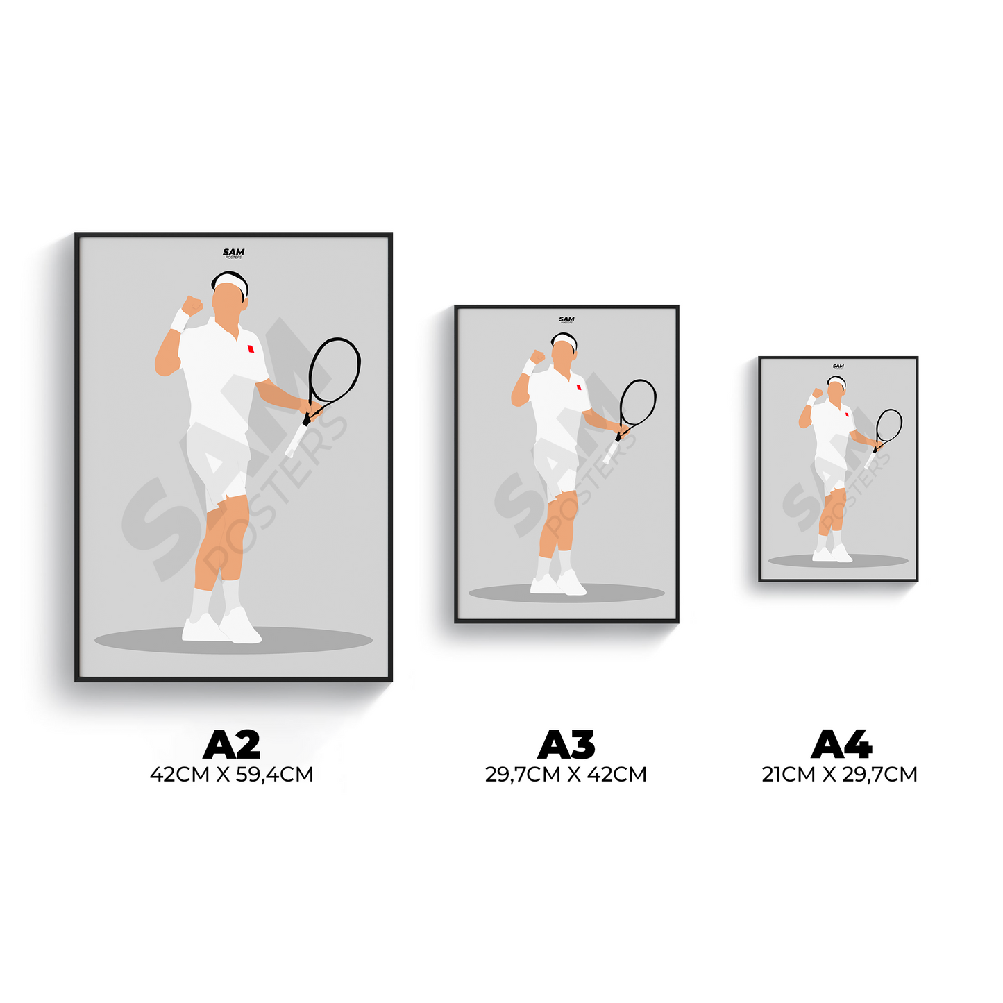 Roger Federer Poster