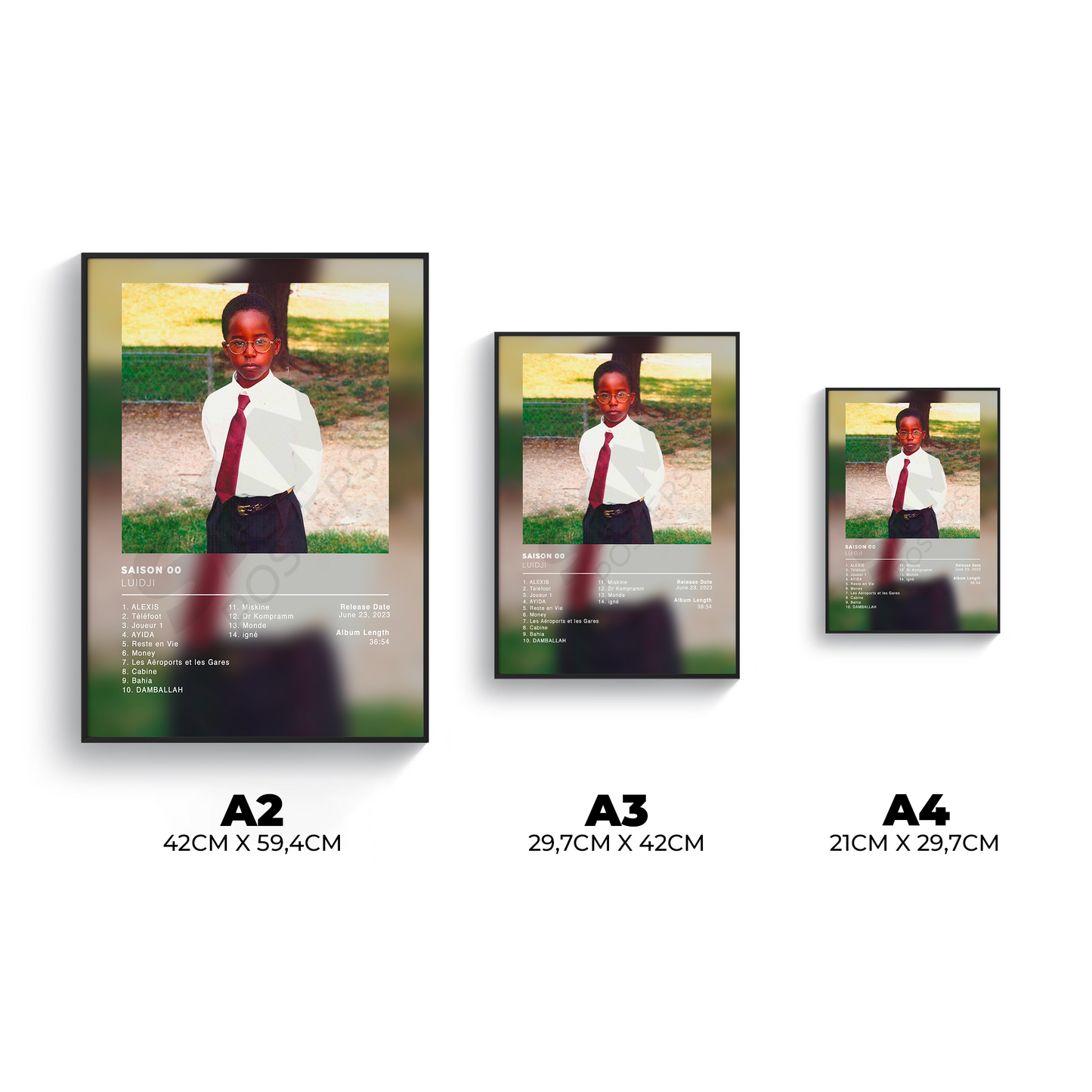 Saison 00 Luidji Poster