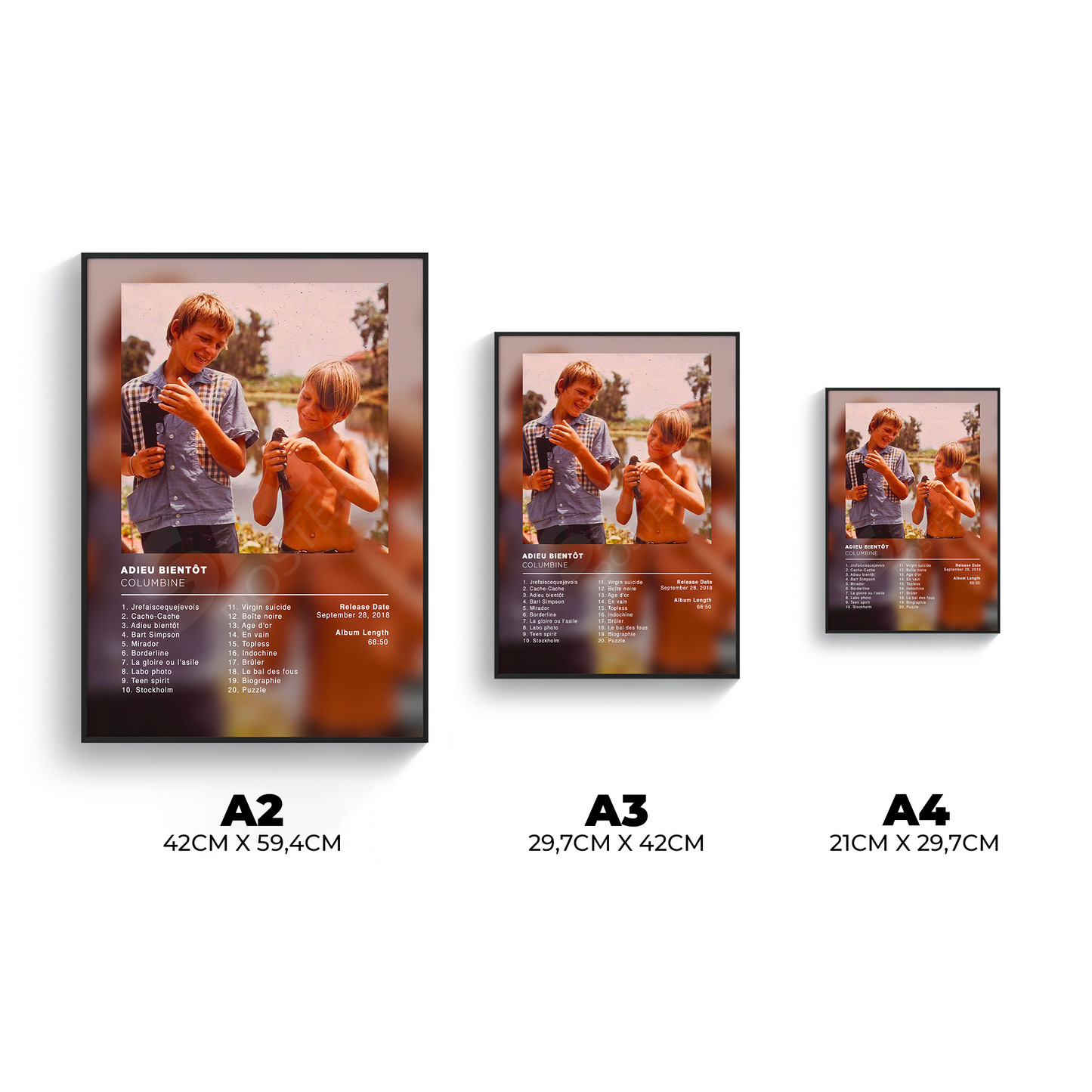 Adieu Bientôt Columbine Poster