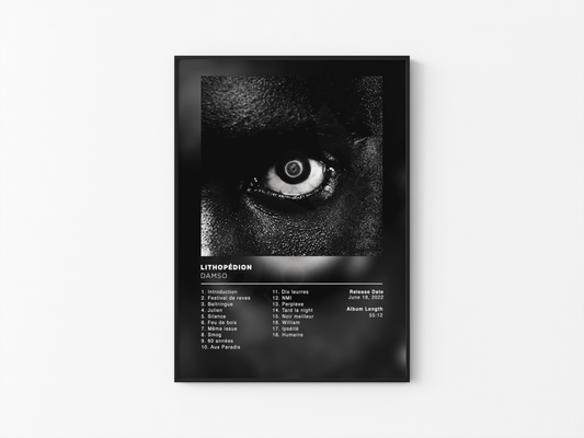 Lithopedion Damso Poster