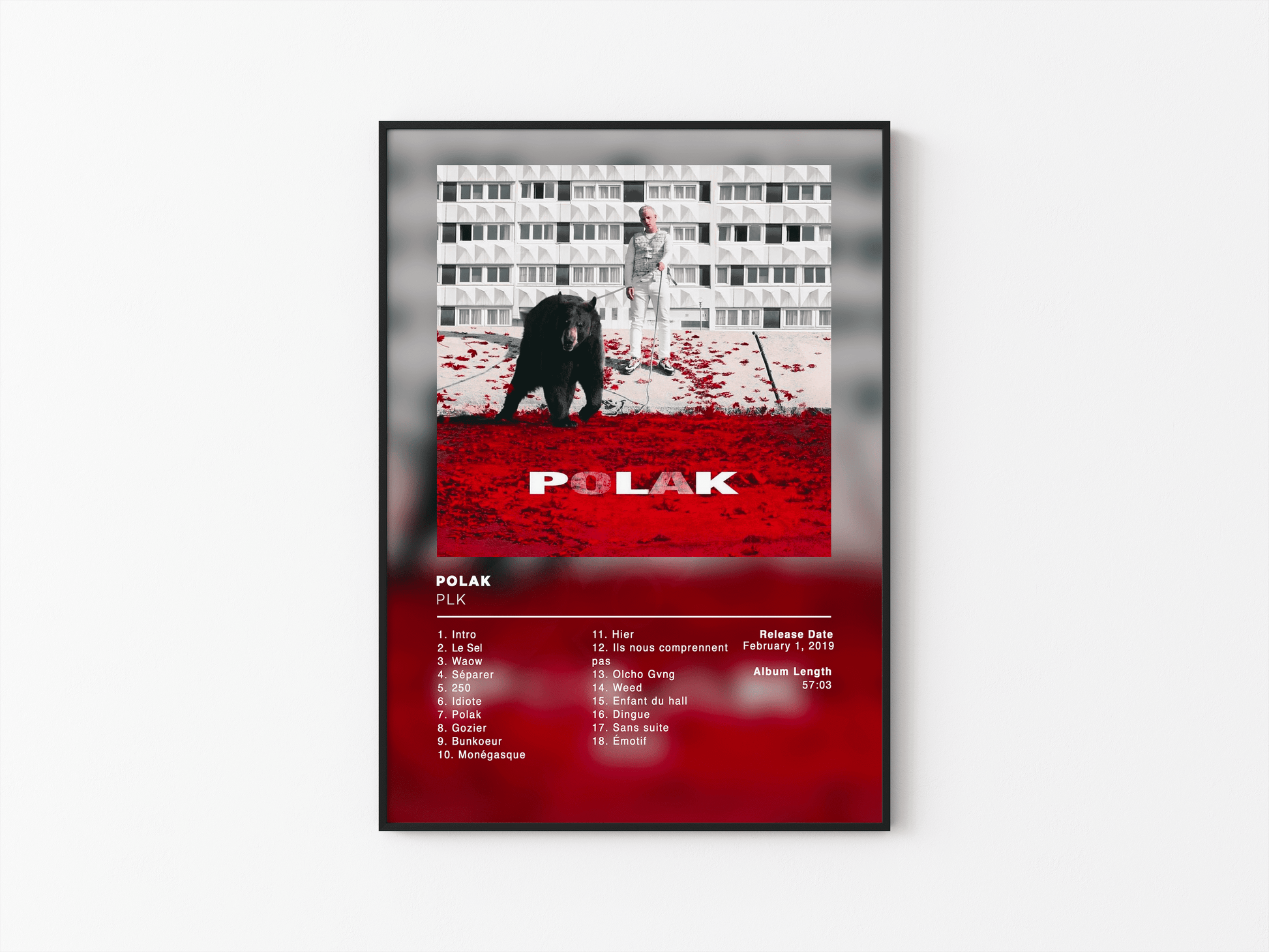 Polak PLK Poster